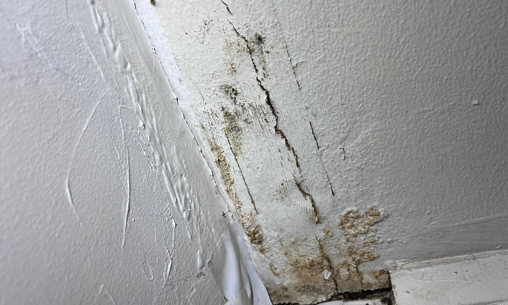 water damage in san antonio