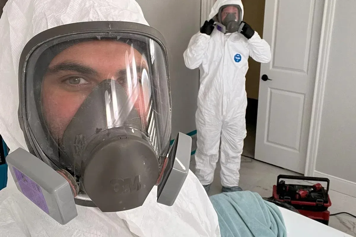 Professional mold remediation process highlighting effective techniques