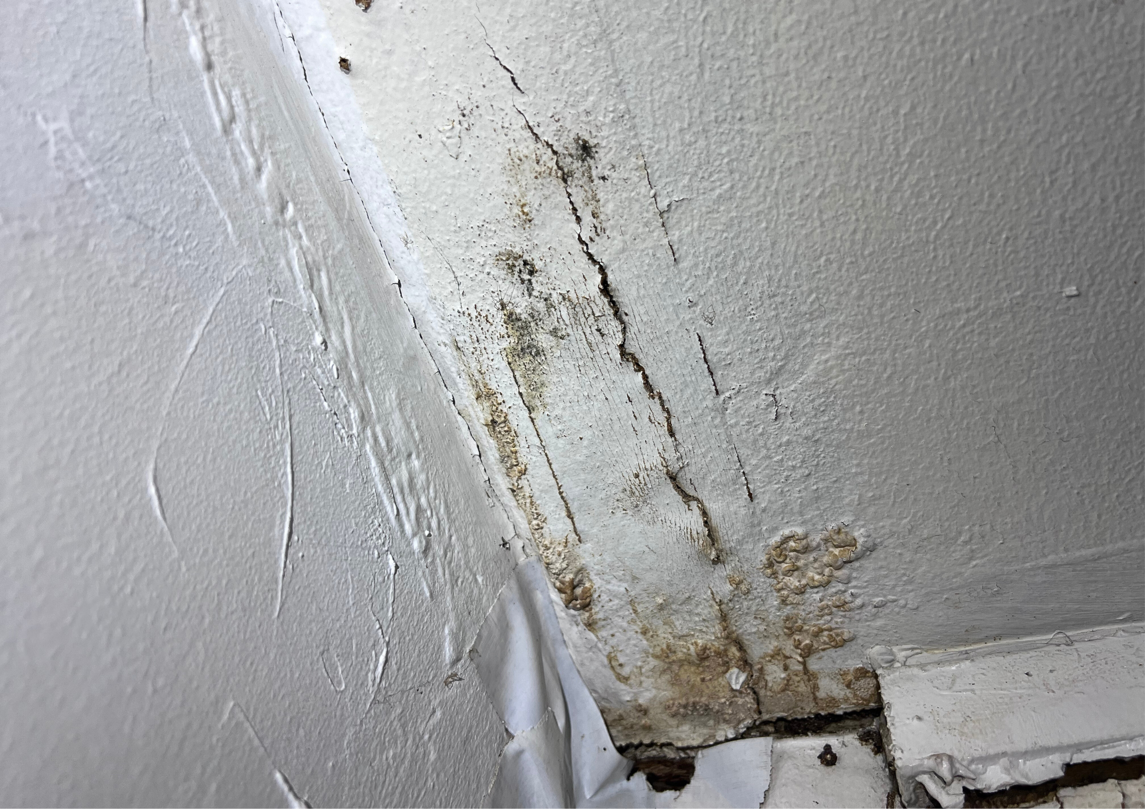water damage in san antonio