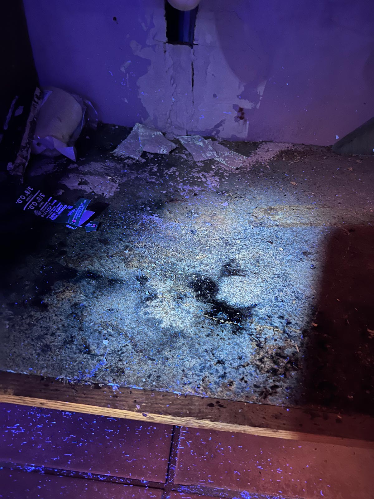 Image showcasing Texas Mold Inspection: Expert, Unbiased Assessments