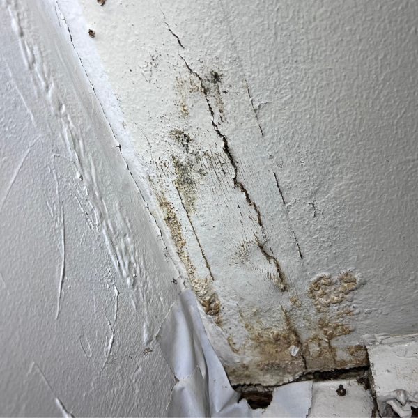 water damage in san antonio